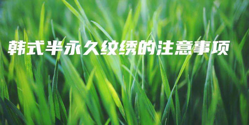 韓式半永久紋繡的注意事項(xiàng)插圖