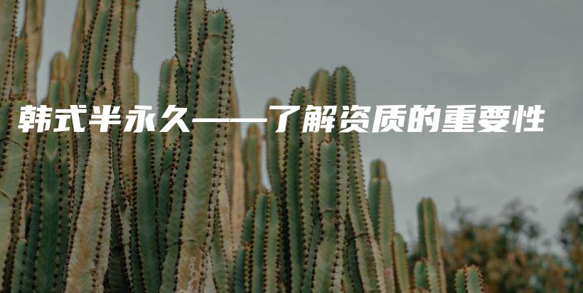韓式半永久——了解資質(zhì)的重要性插圖