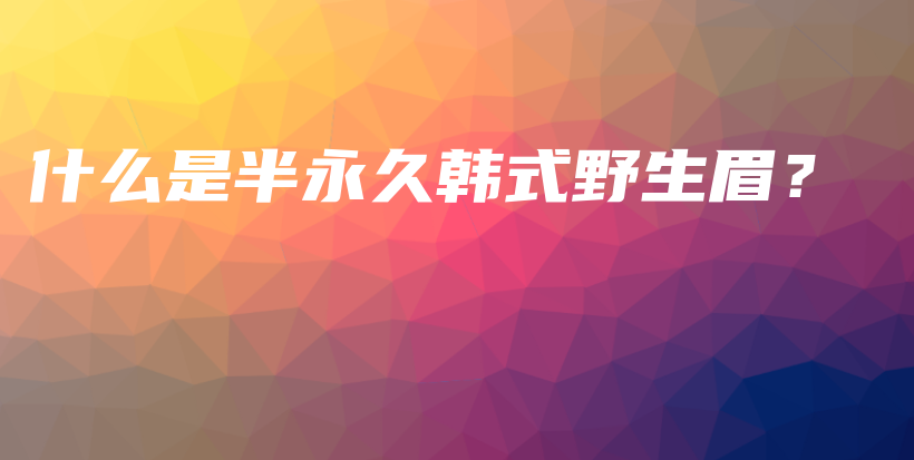 什么是半永久韓式野生眉？插圖