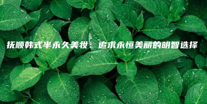 撫順韓式半永久美妝：追求永恒美麗的明智選擇插圖
