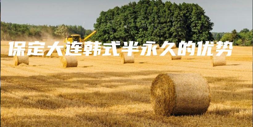 保定大連韓式半永久的優(yōu)勢插圖
