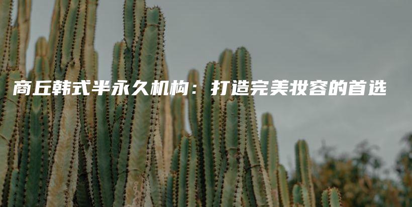 商丘韓式半永久機(jī)構(gòu)：打造完美妝容的首選插圖