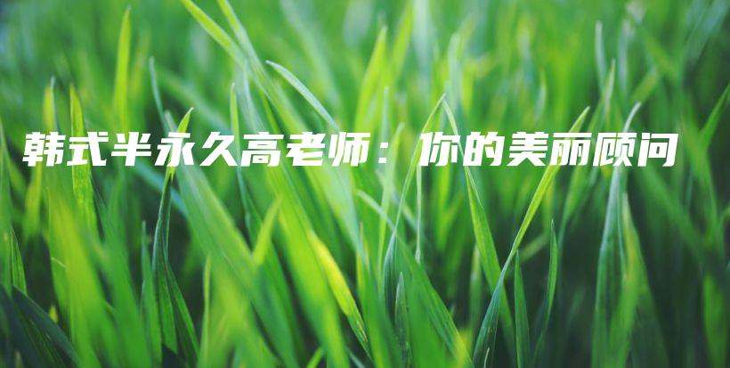 韓式半永久高老師：你的美麗顧問(wèn)插圖
