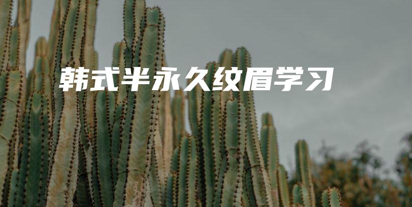 韓式半永久紋眉學(xué)習(xí)插圖