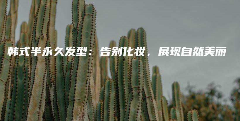 韓式半永久發(fā)型：告別化妝，展現(xiàn)自然美麗插圖