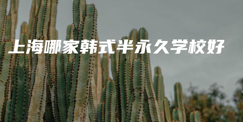 上海哪家韓式半永久學校好插圖