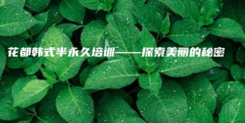 花都韓式半永久培訓——探索美麗的秘密插圖