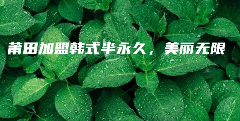 莆田加盟韓式半永久，美麗無限插圖