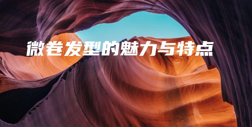 微卷發(fā)型的魅力與特點(diǎn)插圖