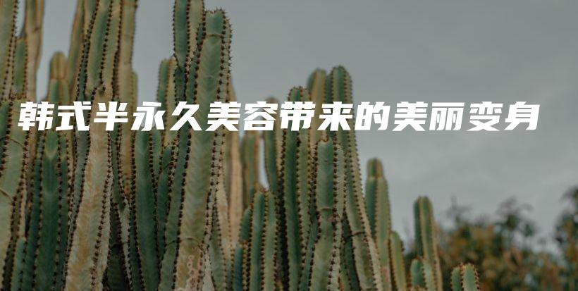 韓式半永久美容帶來的美麗變身插圖