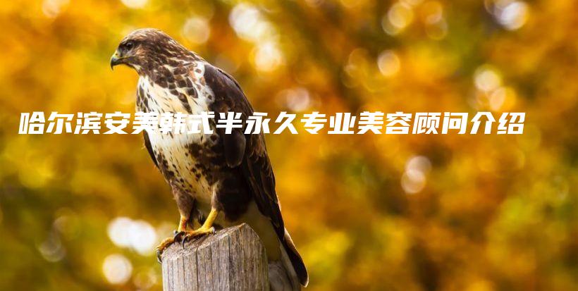 哈爾濱安美韓式半永久專(zhuān)業(yè)美容顧問(wèn)介紹插圖