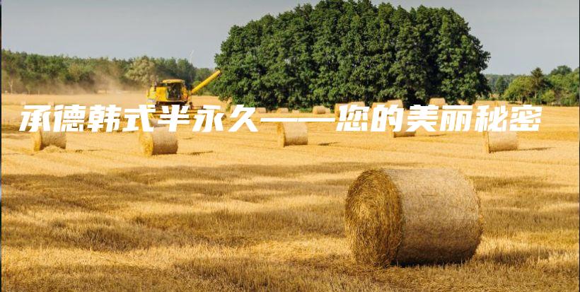 承德韓式半永久——您的美麗秘密插圖