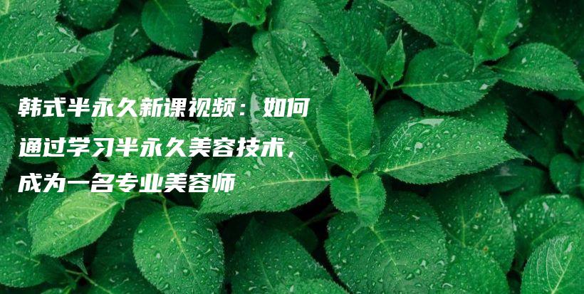 韓式半永久新課視頻：如何通過學(xué)習(xí)半永久美容技術(shù)，成為一名專業(yè)美容師插圖