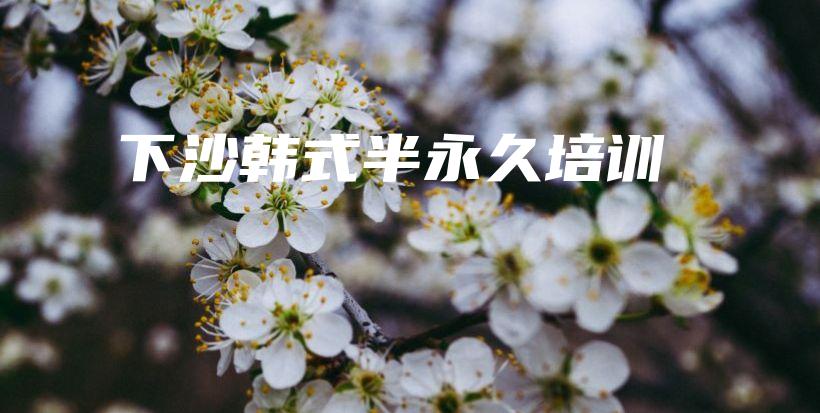 下沙韓式半永久培訓(xùn)插圖