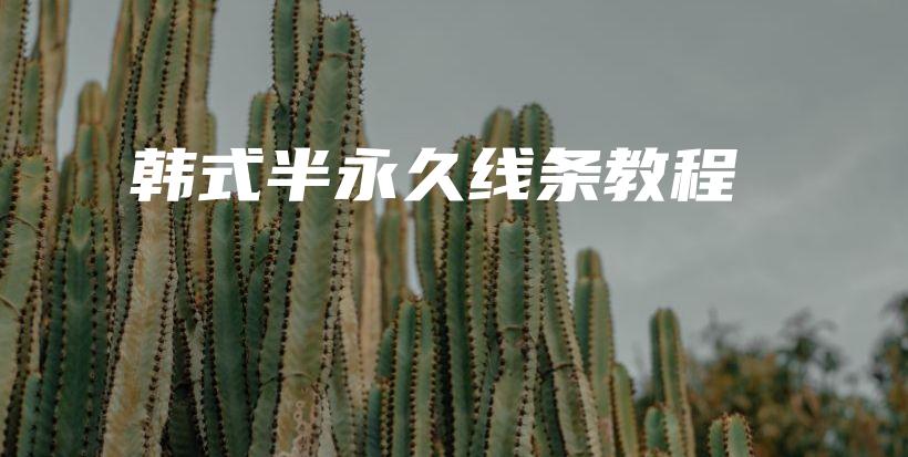 韓式半永久線條教程插圖