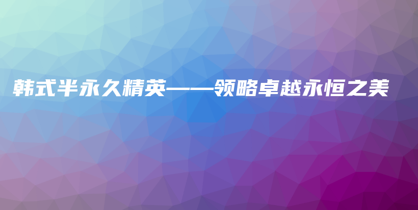 韓式半永久精英——領(lǐng)略卓越永恒之美插圖