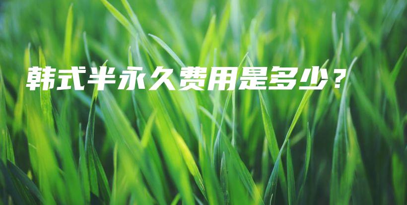 韓式半永久費(fèi)用是多少？插圖