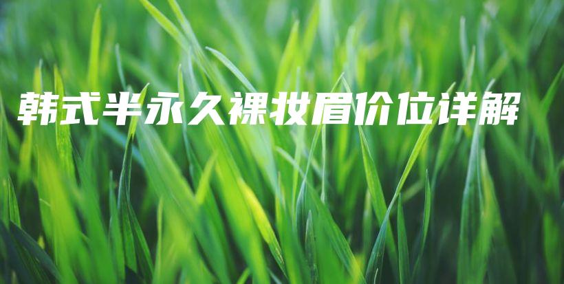 韓式半永久裸妝眉價(jià)位詳解插圖