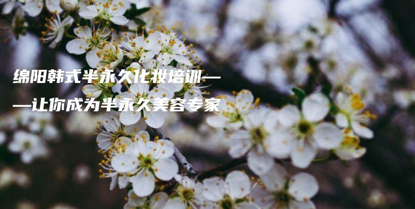 綿陽韓式半永久化妝培訓(xùn)——讓你成為半永久美容專家插圖