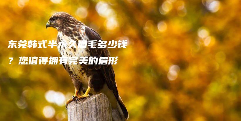 東莞韓式半永久眉毛多少錢？您值得擁有完美的眉形插圖