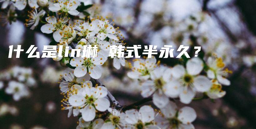 什么是lin琳 韓式半永久？插圖