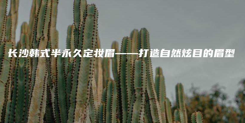 長沙韓式半永久定妝眉——打造自然炫目的眉型插圖