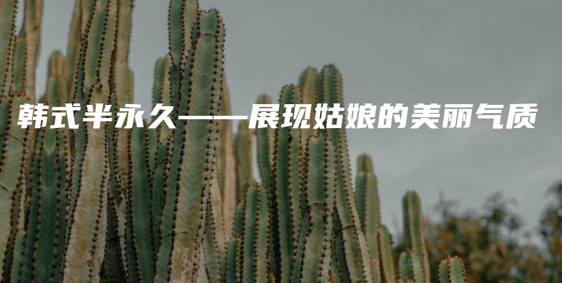 韓式半永久——展現(xiàn)姑娘的美麗氣質(zhì)插圖