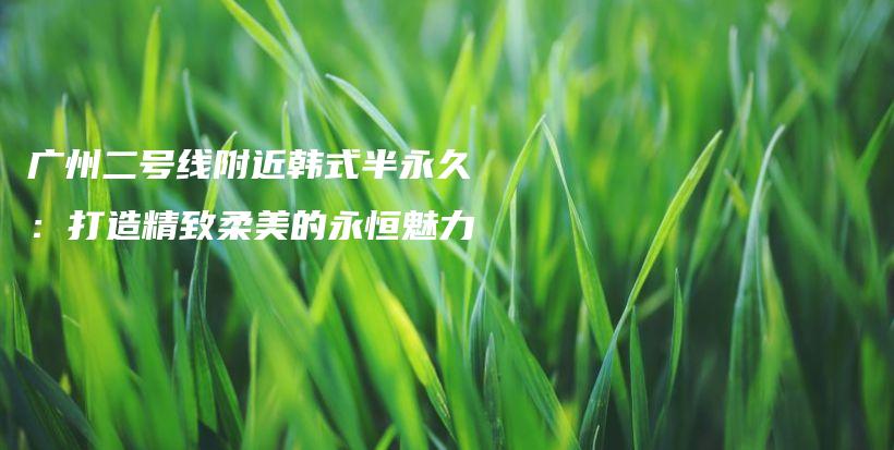 廣州二號線附近韓式半永久：打造精致柔美的永恒魅力插圖