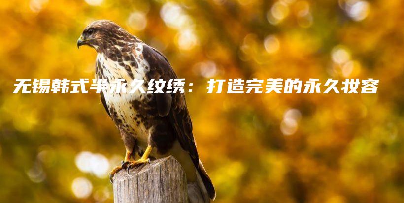 無錫韓式半永久紋繡：打造完美的永久妝容插圖