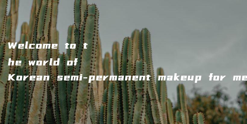 Welcome to the world of Korean semi-permanent makeup for men!插圖