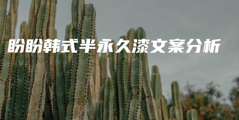 盼盼韓式半永久漆文案分析插圖