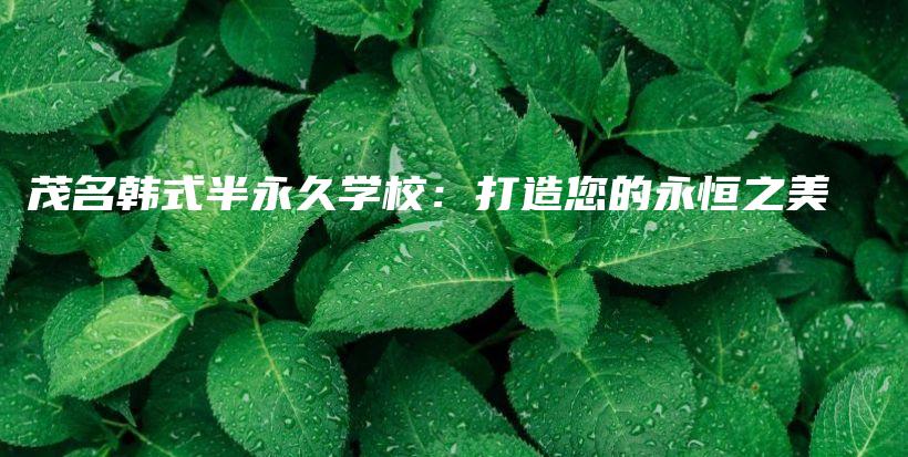 茂名韓式半永久學(xué)校：打造您的永恒之美插圖