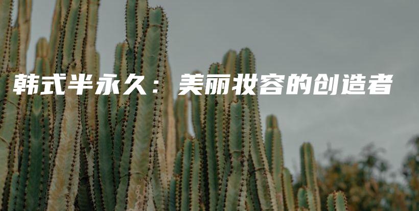 韓式半永久：美麗妝容的創(chuàng)造者插圖