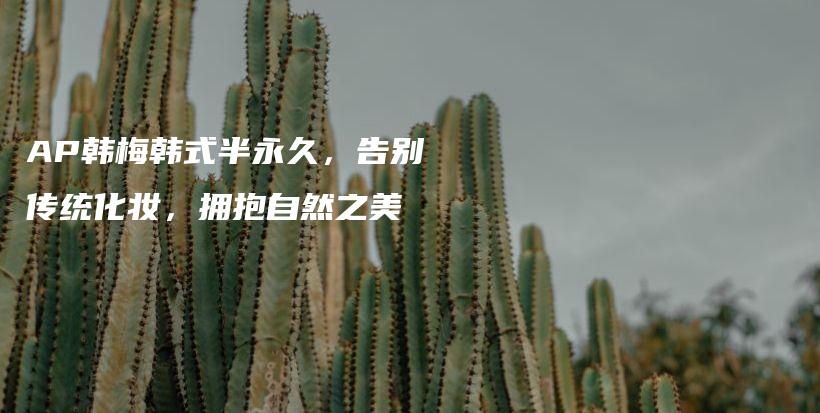 AP韓梅韓式半永久，告別傳統(tǒng)化妝，擁抱自然之美插圖