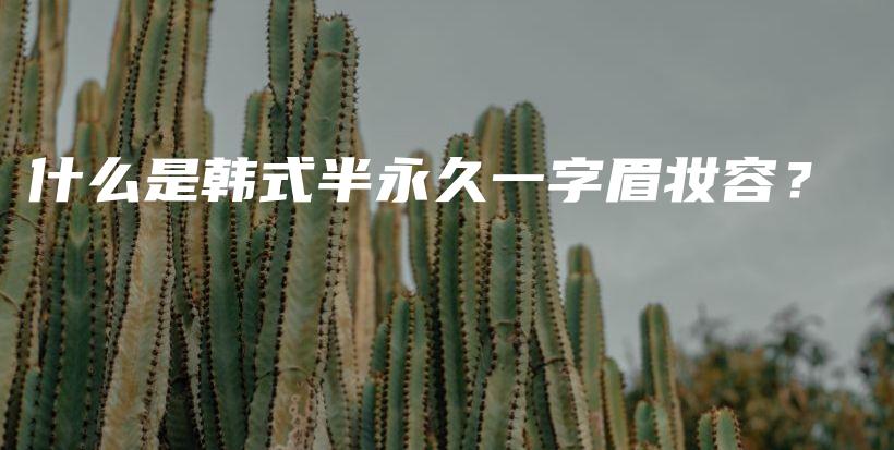 什么是韓式半永久一字眉妝容？插圖