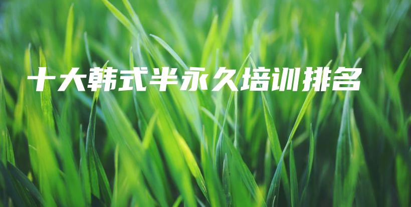 十大韓式半永久培訓(xùn)排名插圖