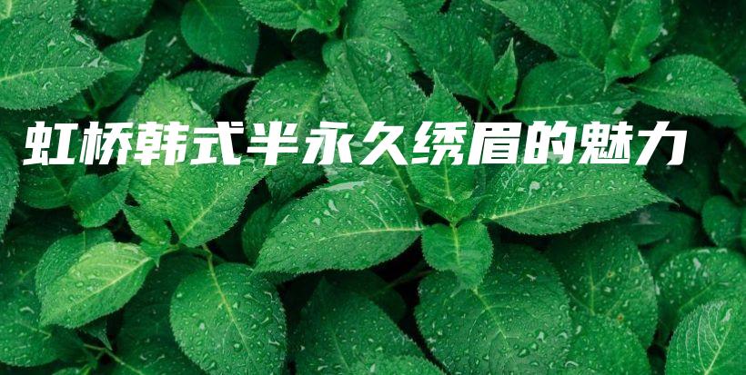 虹橋韓式半永久繡眉的魅力插圖