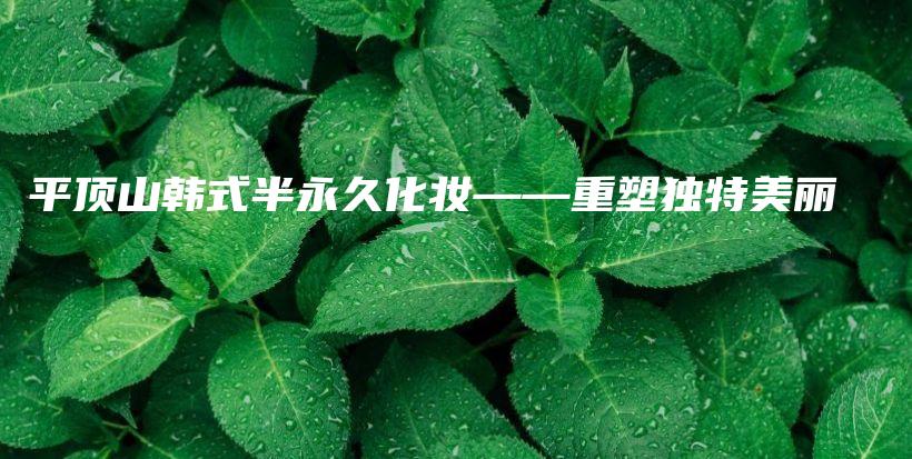 平頂山韓式半永久化妝——重塑獨(dú)特美麗插圖