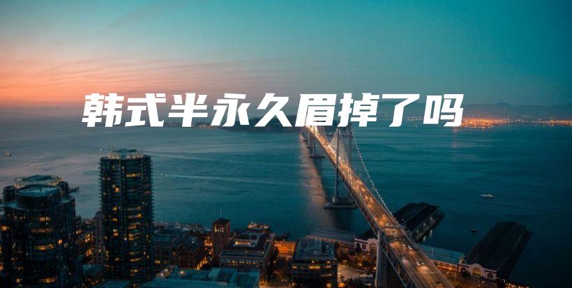 韓式半永久眉掉了嗎插圖