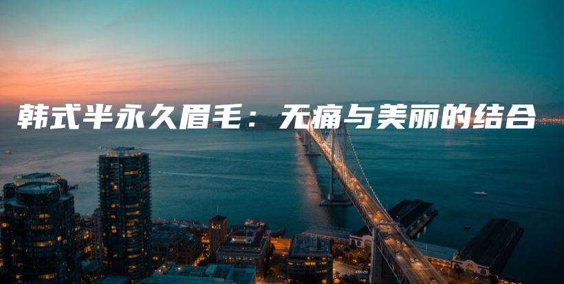 韓式半永久眉毛：無(wú)痛與美麗的結(jié)合插圖