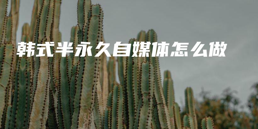 韓式半永久自媒體怎么做插圖