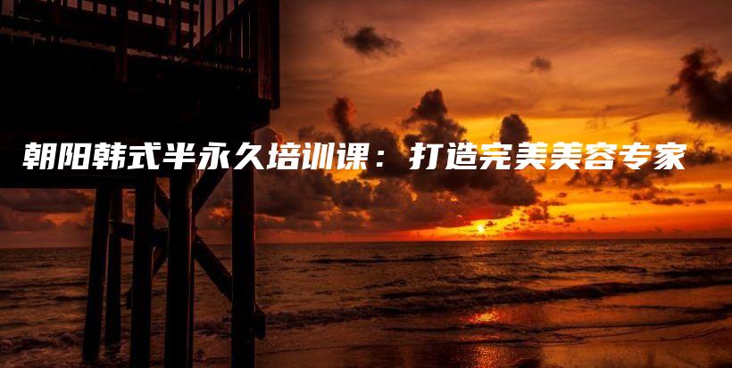 朝陽韓式半永久培訓(xùn)課：打造完美美容專家插圖