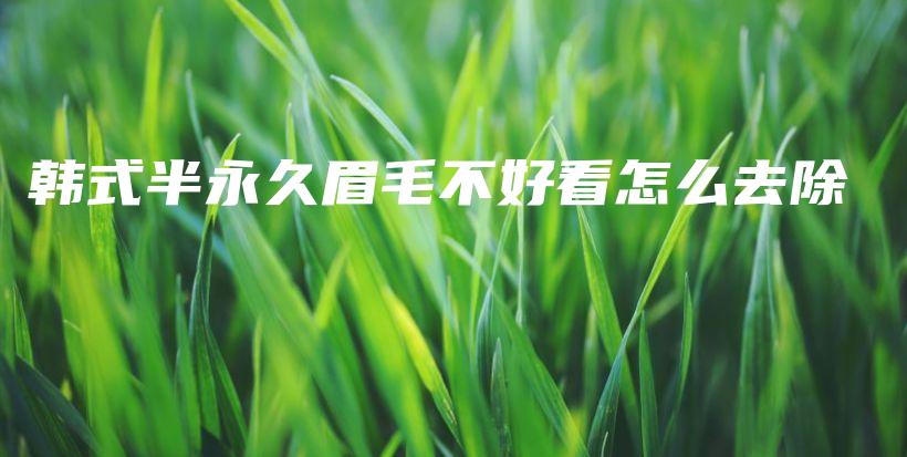 韓式半永久眉毛不好看怎么去除插圖