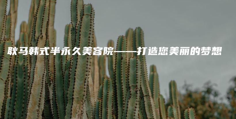 耿馬韓式半永久美容院——打造您美麗的夢想插圖