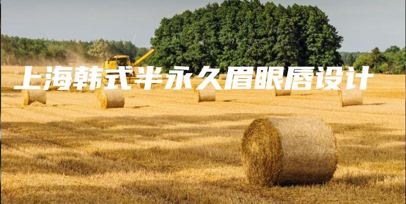 上海韓式半永久眉眼唇設計插圖