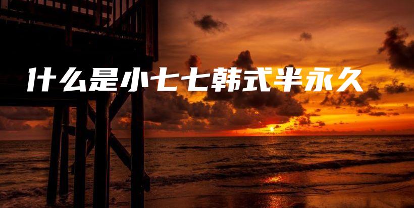 什么是小七七韓式半永久插圖