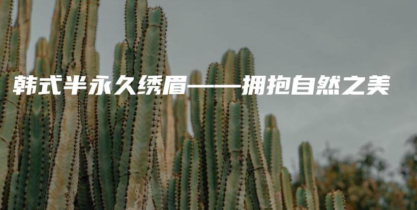 韓式半永久繡眉——擁抱自然之美插圖