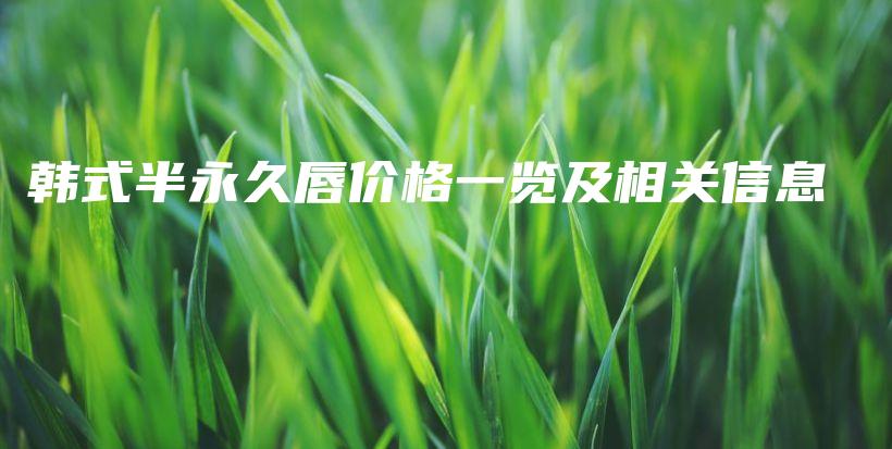 韓式半永久唇價(jià)格一覽及相關(guān)信息插圖