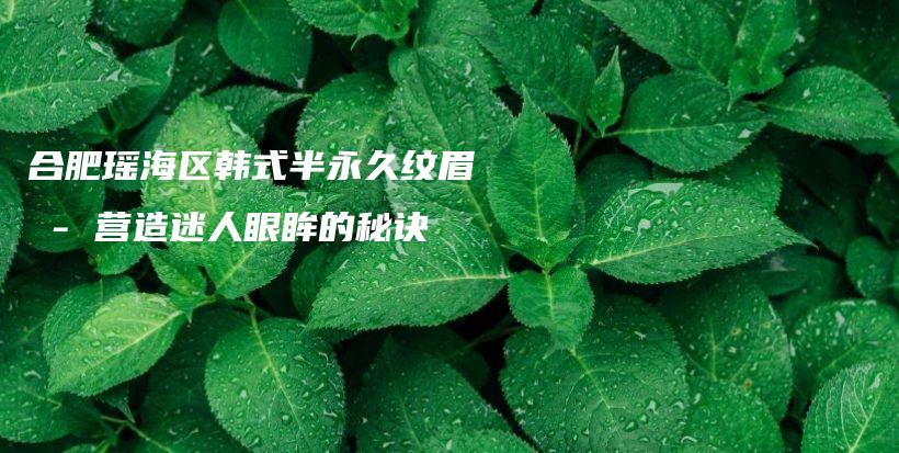 合肥瑤海區(qū)韓式半永久紋眉 – 營造迷人眼眸的秘訣插圖