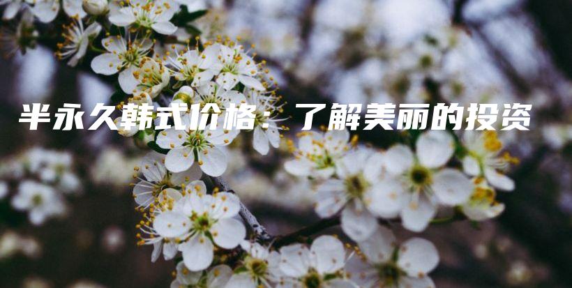 半永久韓式價(jià)格：了解美麗的投資插圖